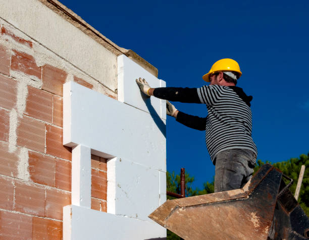 Best Insulation Installation Services in Davis, CA