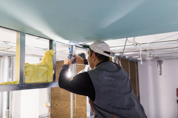 Best Specialty Insulation in Davis, CA