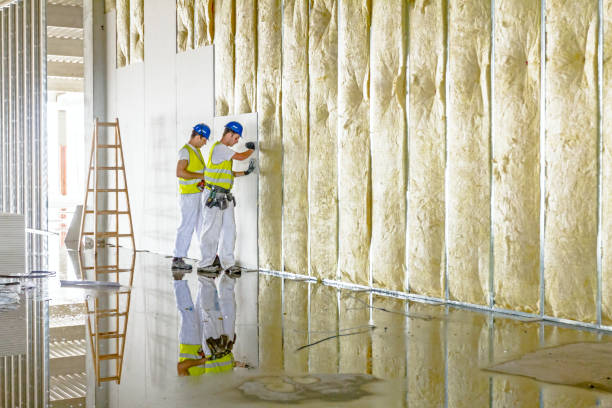 Best Types of Insulation in Davis, CA